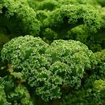 What is The Nutritional Value of Kale Nutritional-Value-of-Kale