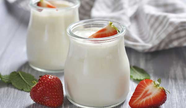 Yogurt