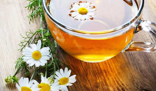 Chamomile