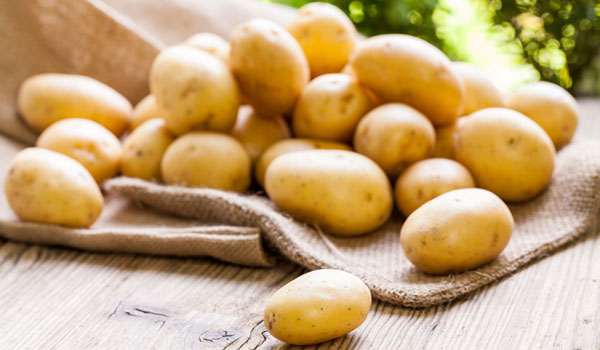 Potato