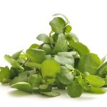 Watercress: Nutrition Facts and Health Benefits Watercress