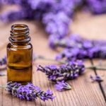 Top 9 Excellent Essential Oils for Shingles And Most Useful Tips essential oils for shingles