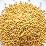 Is It Just a Bad Mood, or Actual Depression? Mustard Seeds