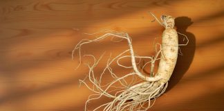 Health Benefits of Ginseng Health Benefits of Ginseng