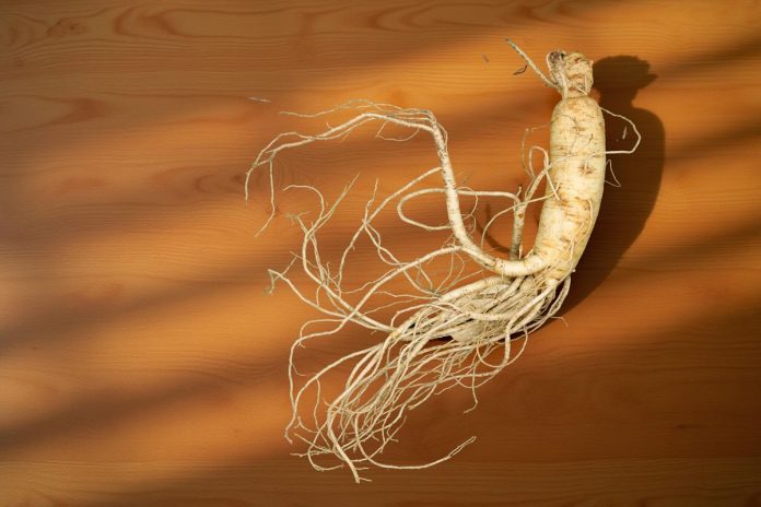 Health Benefits of Ginseng
