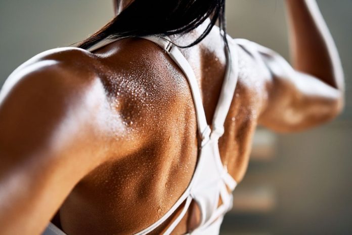 Bodyweight Back Exercises