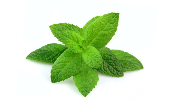 Peppermint