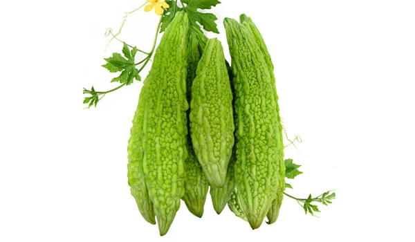 Bitter gourd