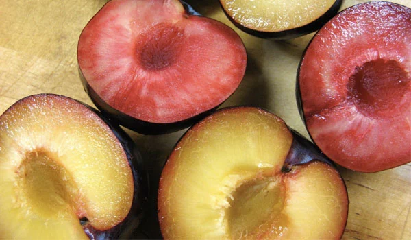 Black Plum