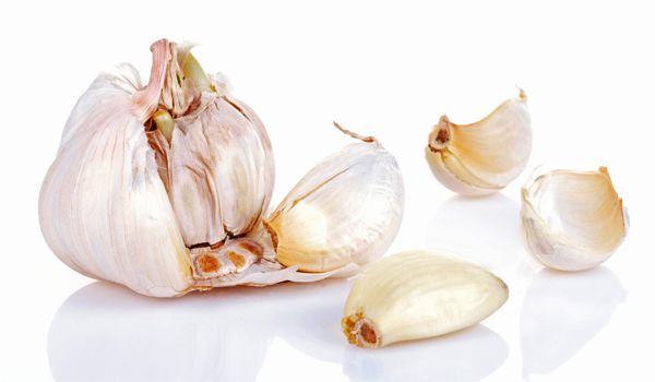 Garlic