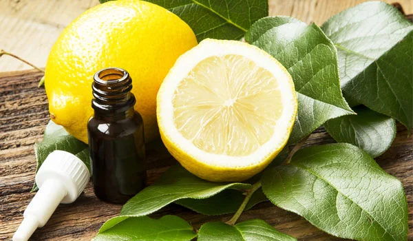 Lemon and Tea Tree Oil