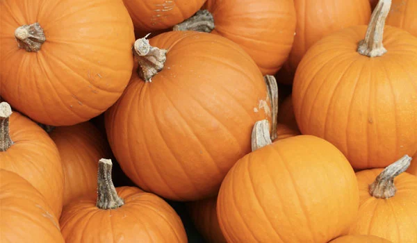 Pumpkin