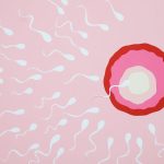 Home Remedies to Increase Sperm Count Home Remedies to Increase Sperm Count