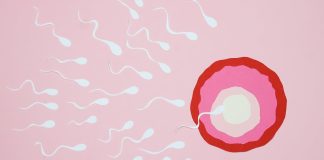 Home Remedies to Increase Sperm Count Home Remedies to Increase Sperm Count