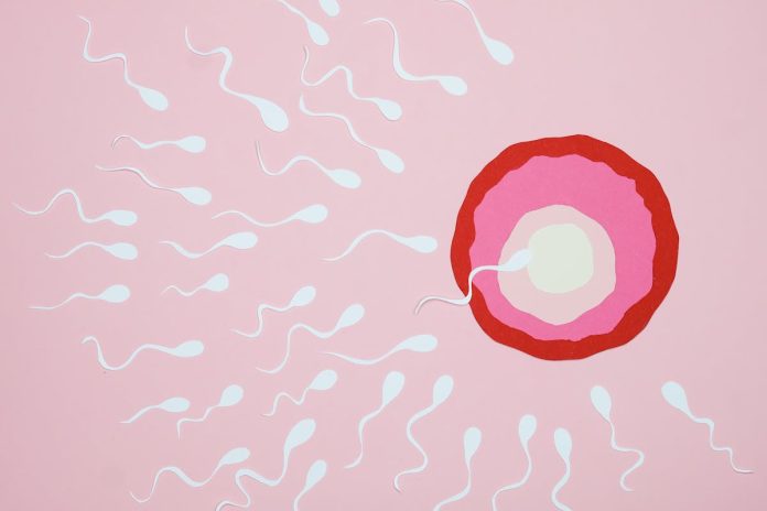 Home Remedies to Increase Sperm Count