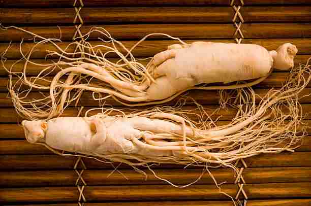 Panax Ginseng