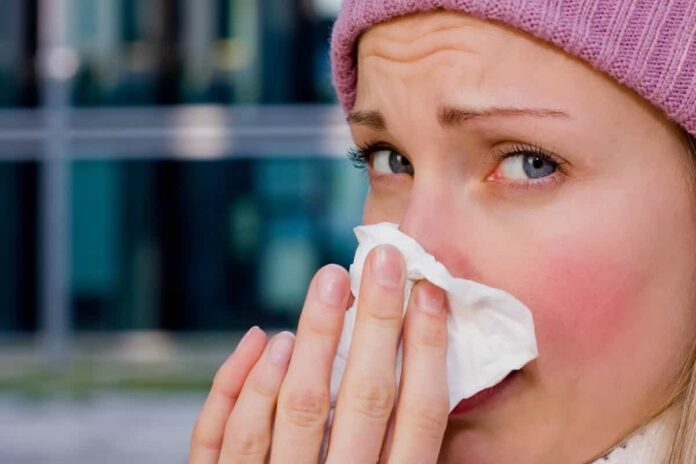 Understanding the Basics about Seasonal Influenza Understanding the Basics about Seasonal Influenza