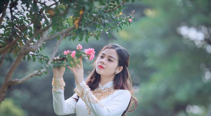 The Secret Language of Flowers The Secret Language of Flowers